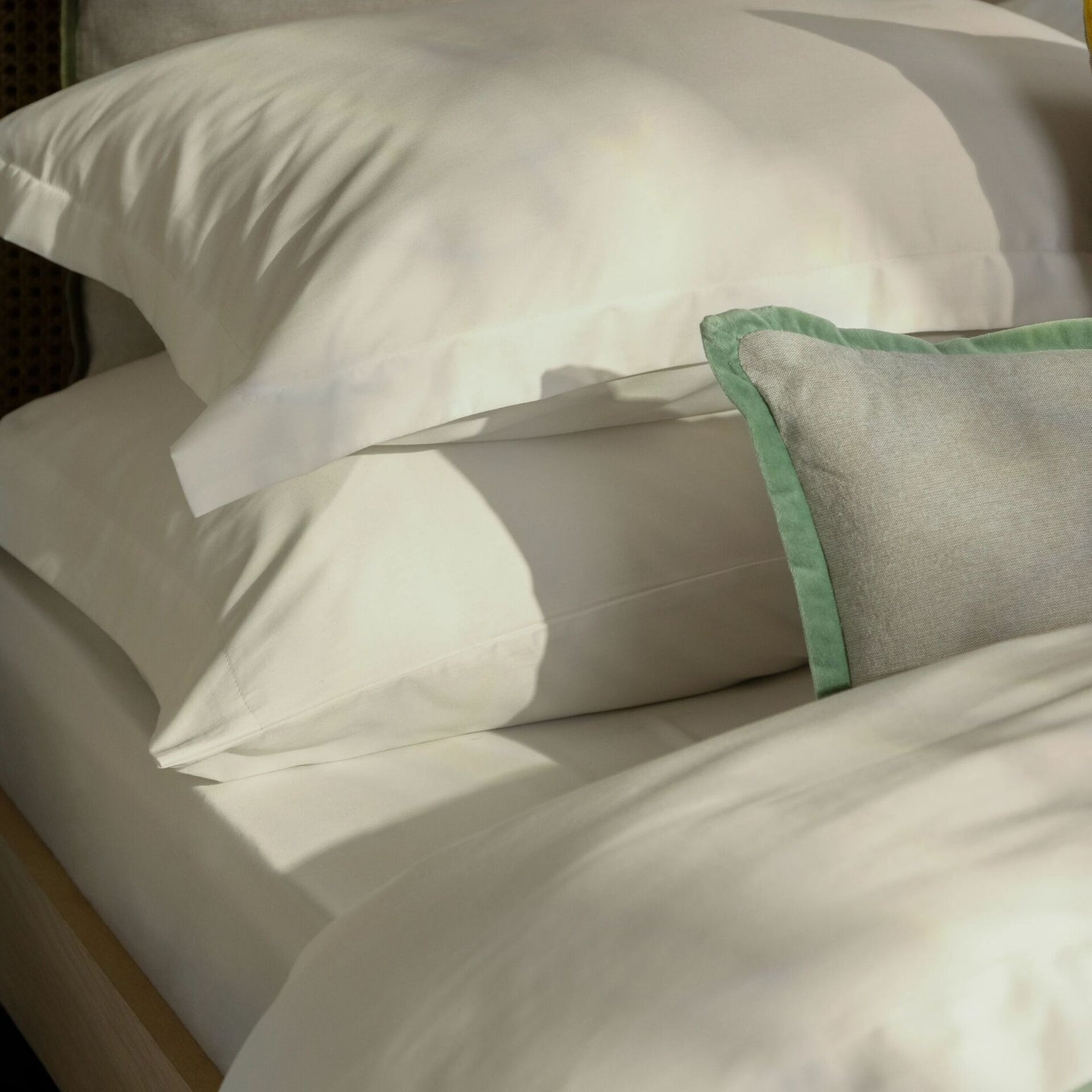 Ivory-product_image