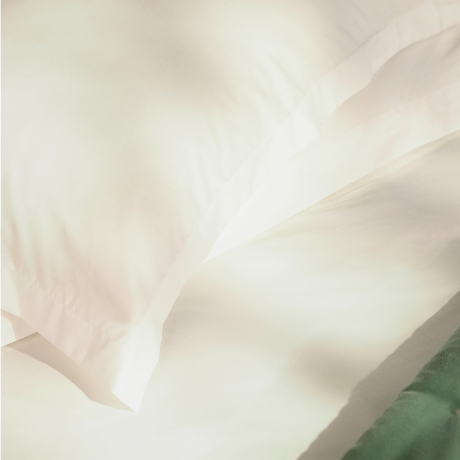 Ivory-product_image
