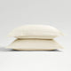 Ivory-product_image