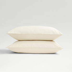 Ivory-product_image