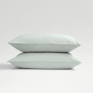 Platinum-product_image