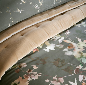 Forest-product_image