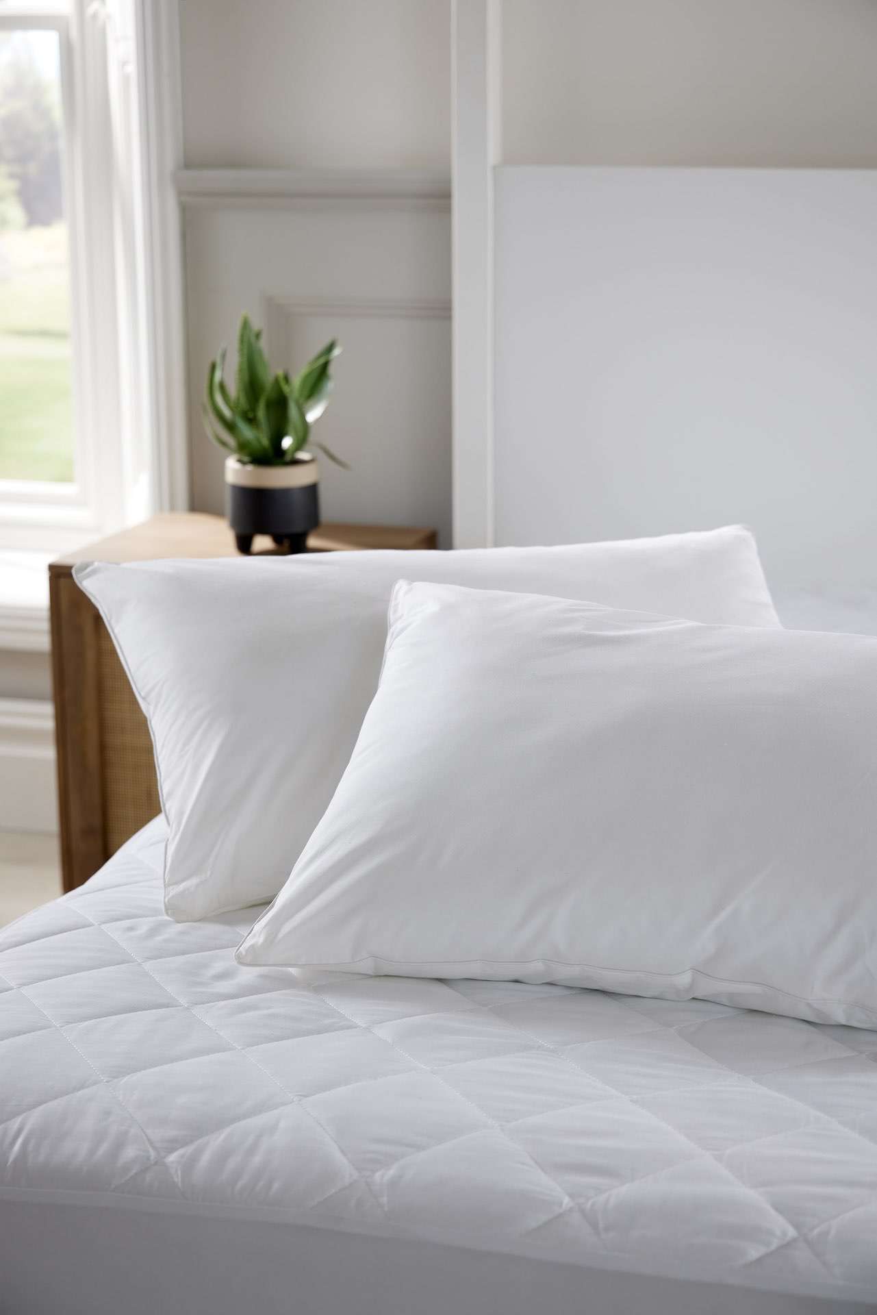 Essential Pillow Pair White-product_image