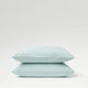 Duck Egg-product_image