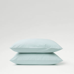 Duck Egg-product_image