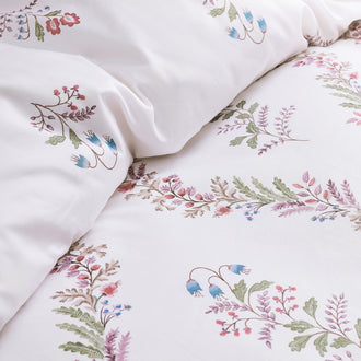 Berry-product_image