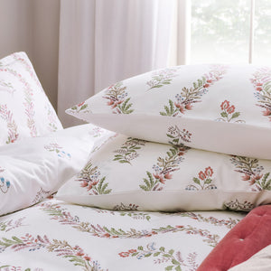 Berry-product_image