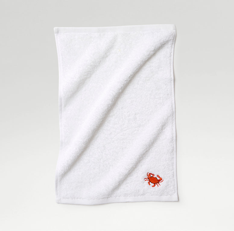 Novelty Face Cloth Pack of 4