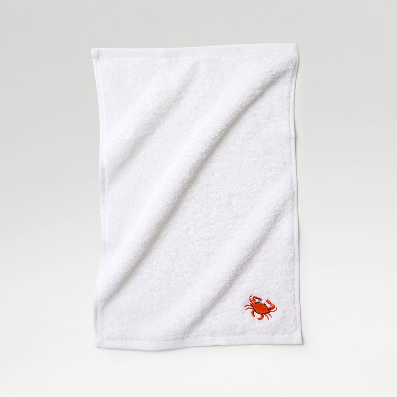 Novelty Face Cloth Pack of 4