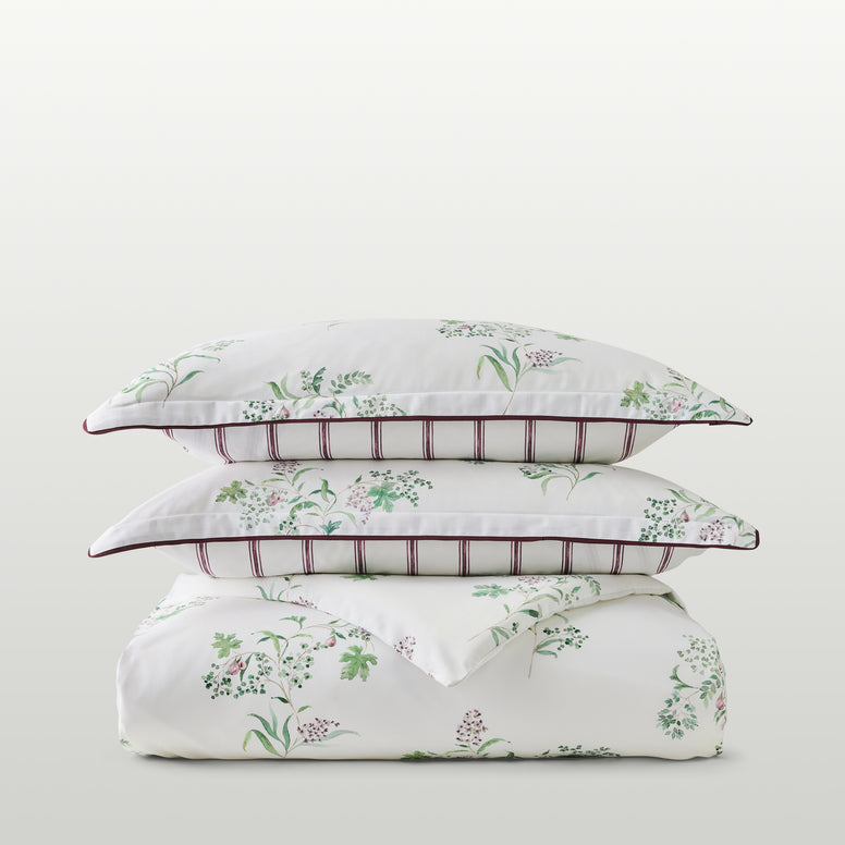 Fig Collection Bundle