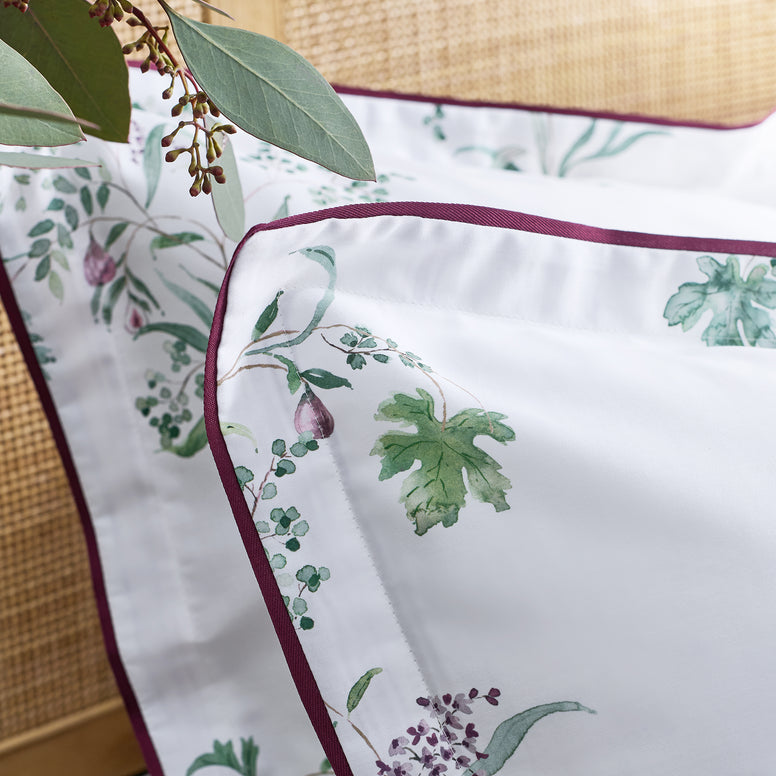Fig Leaves Standard Pillowcase Pair