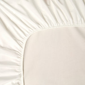 Ivory-product_image