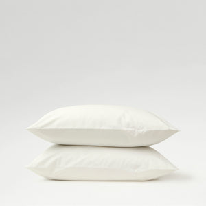 Ivory-product_image