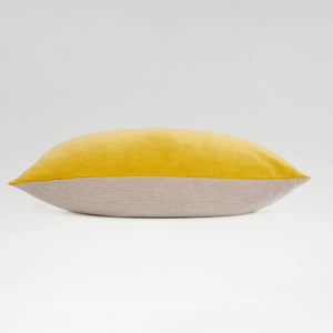 Turmeric-product_image