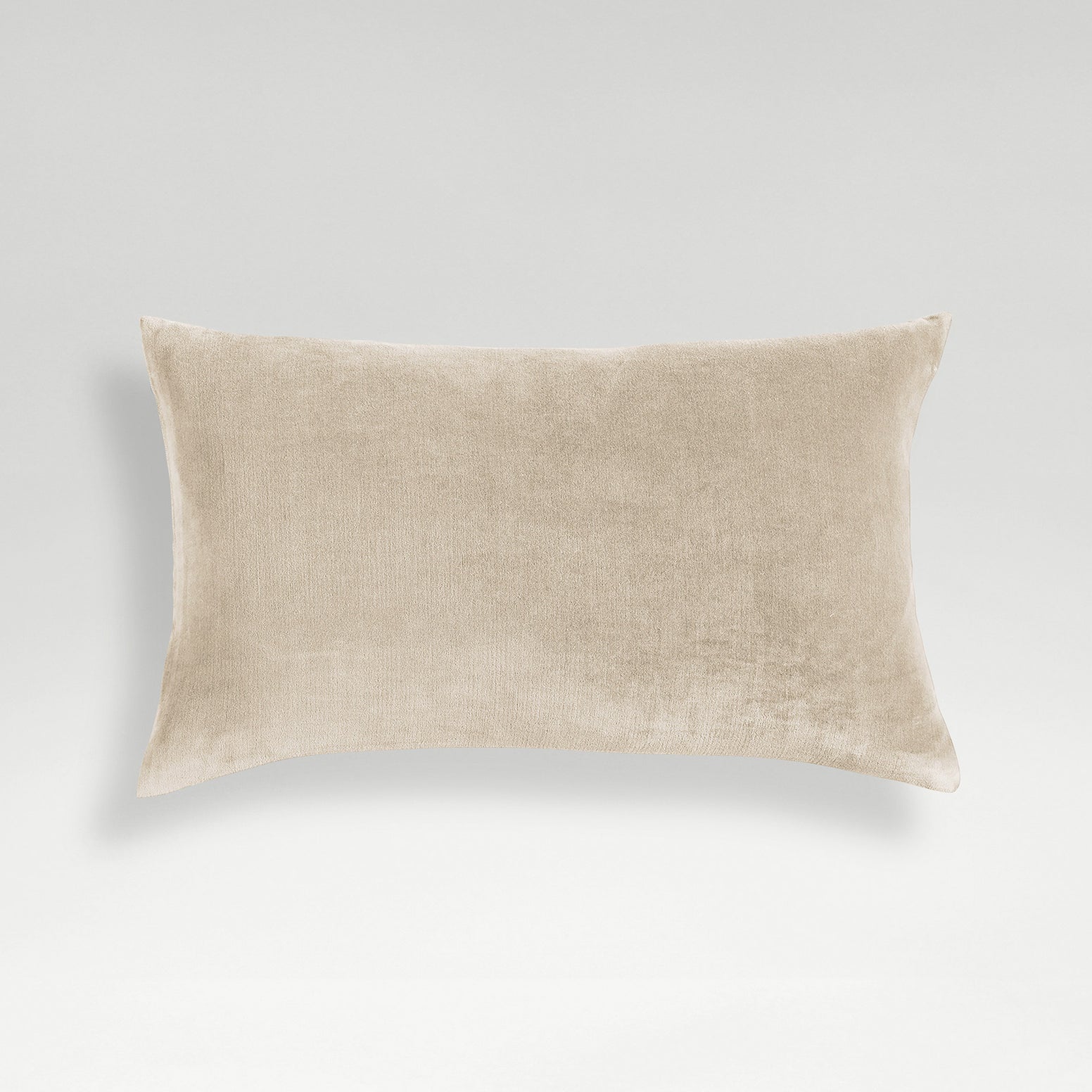 Hazelnut-product_image