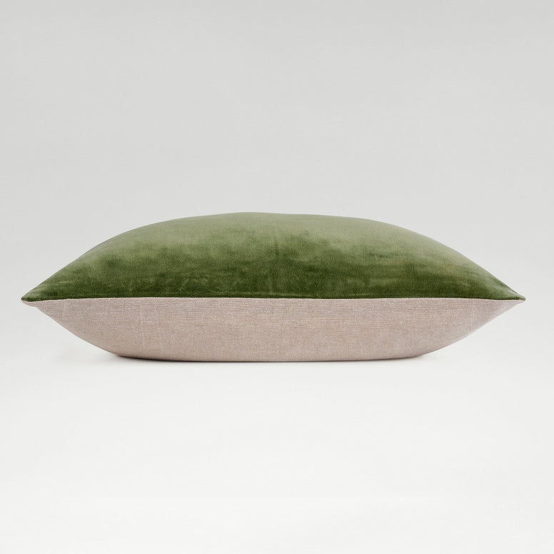 Olive-product_image