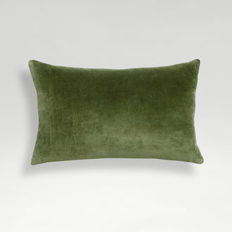 Olive-product_image