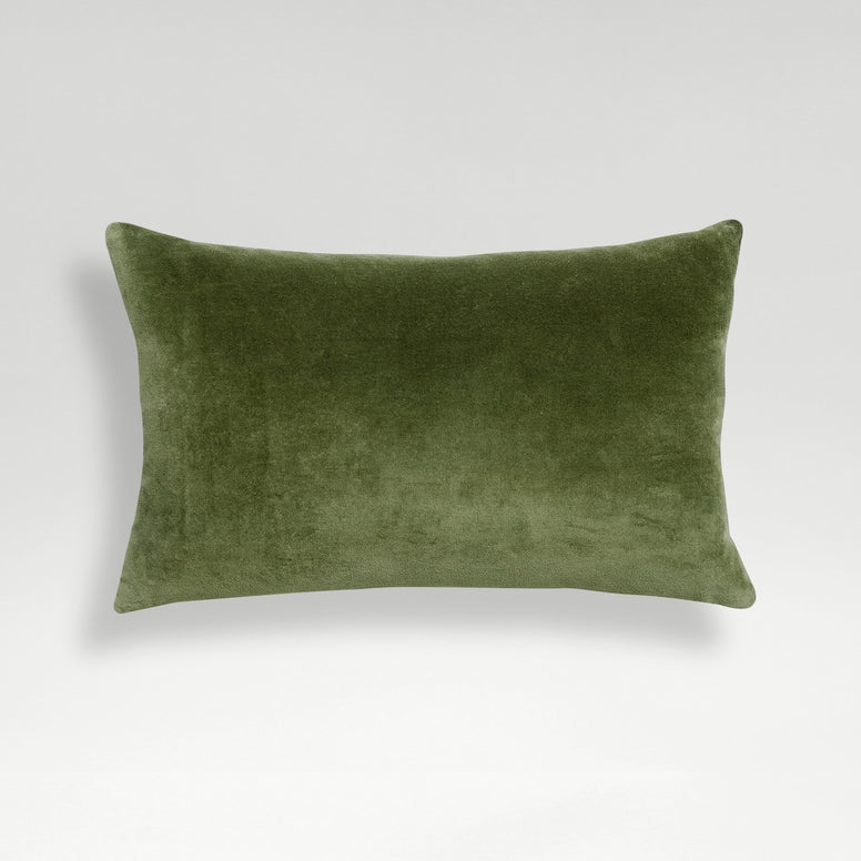 Olive-product_image