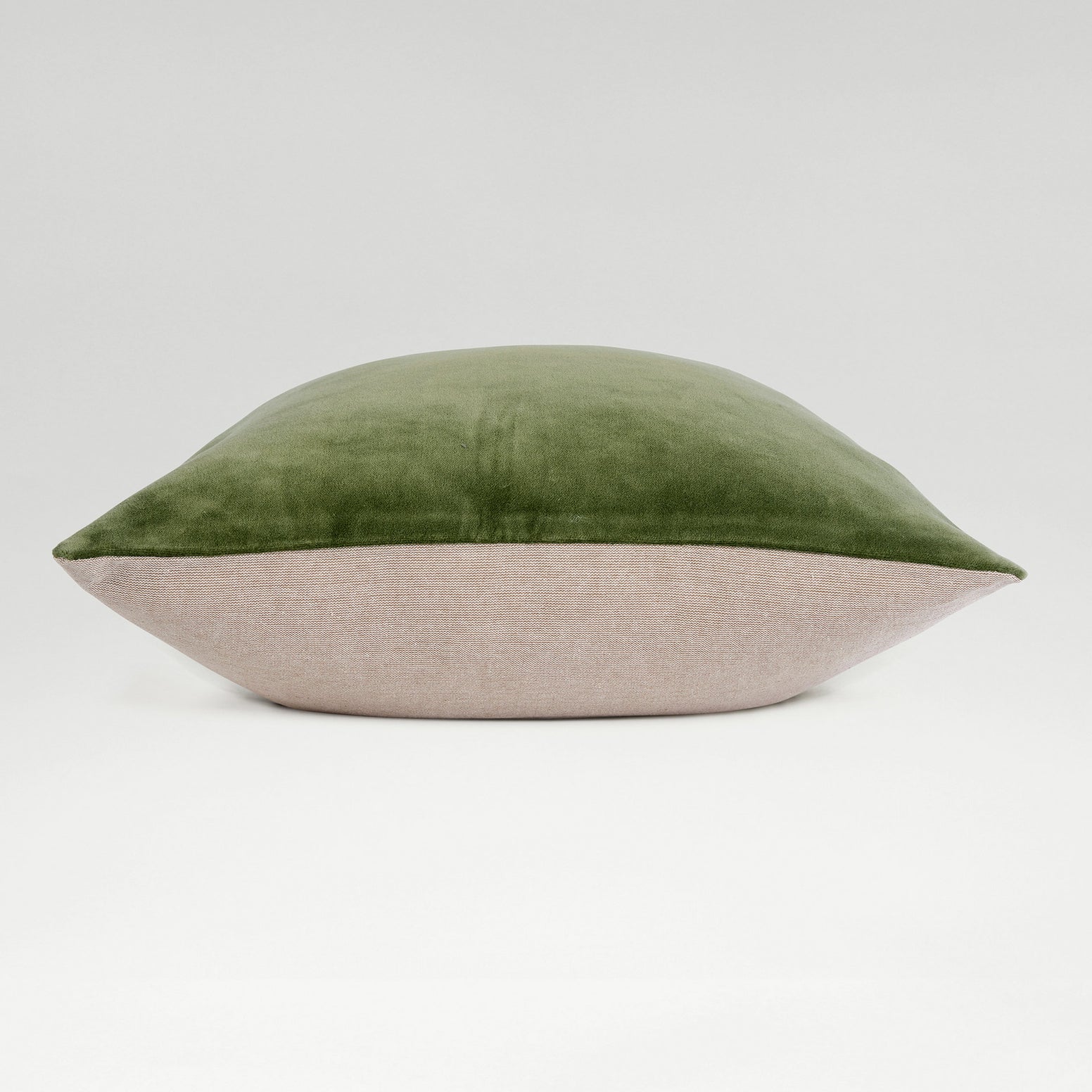 Olive-product_image