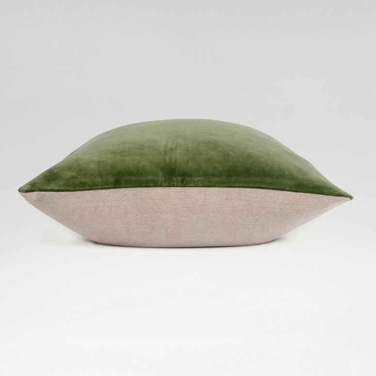 Olive-product_image