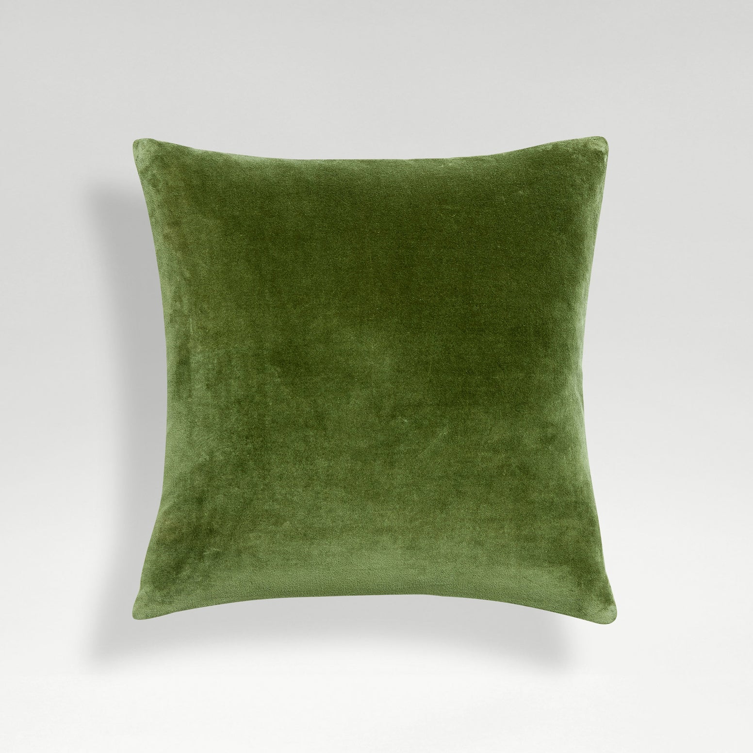 Olive-product_image