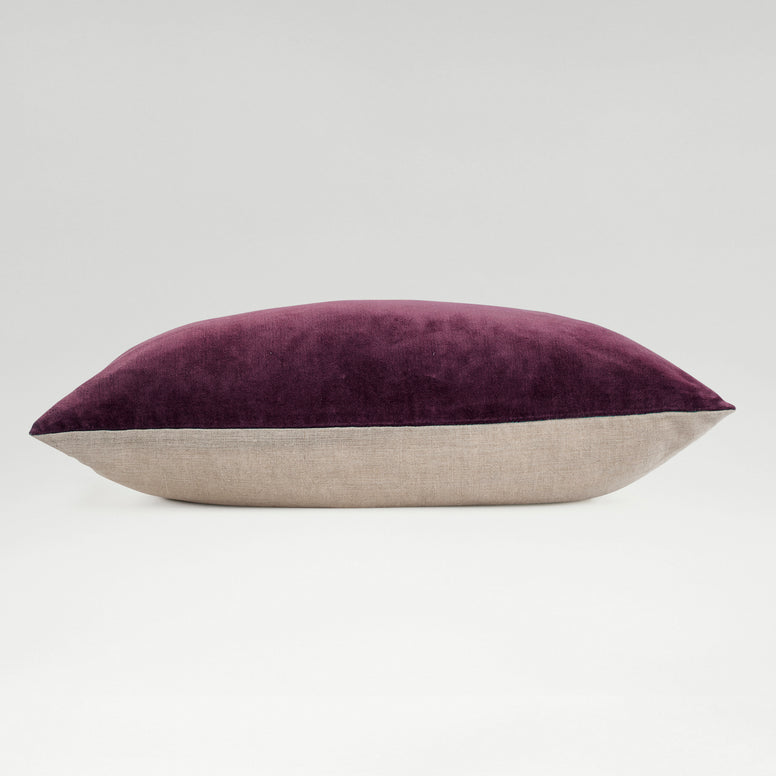 Fig-product_image