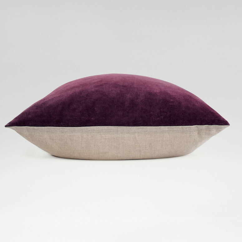 Fig-product_image