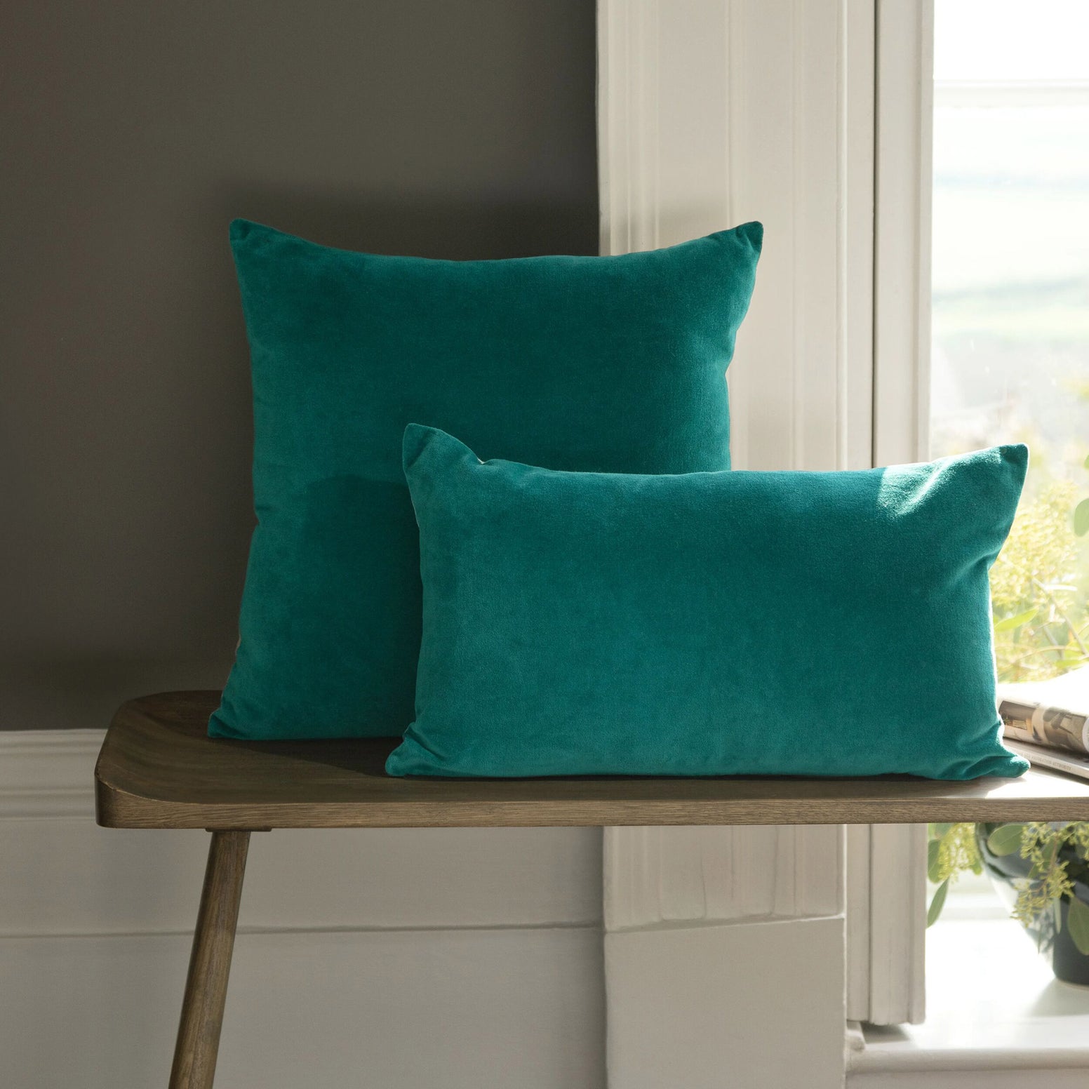 Peacock-product_image