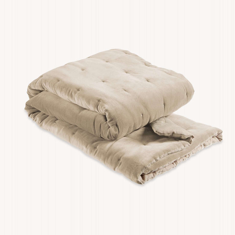 Hazelnut-product_image