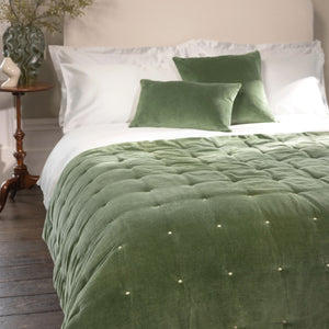 Olive-product_image