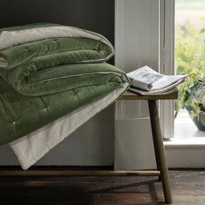 Olive-product_image