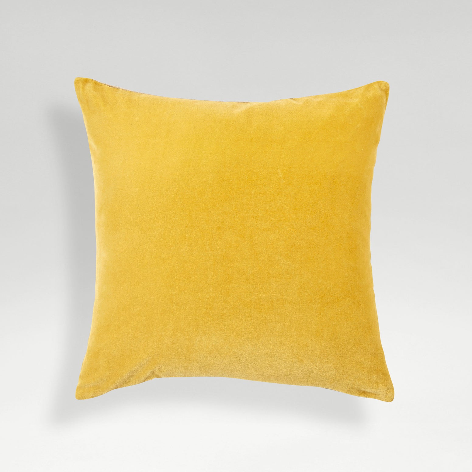 Turmeric-product_image