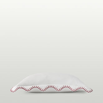 Raspberry-product_image