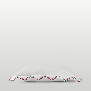 Raspberry-product_image