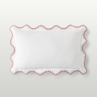 Raspberry-product_image