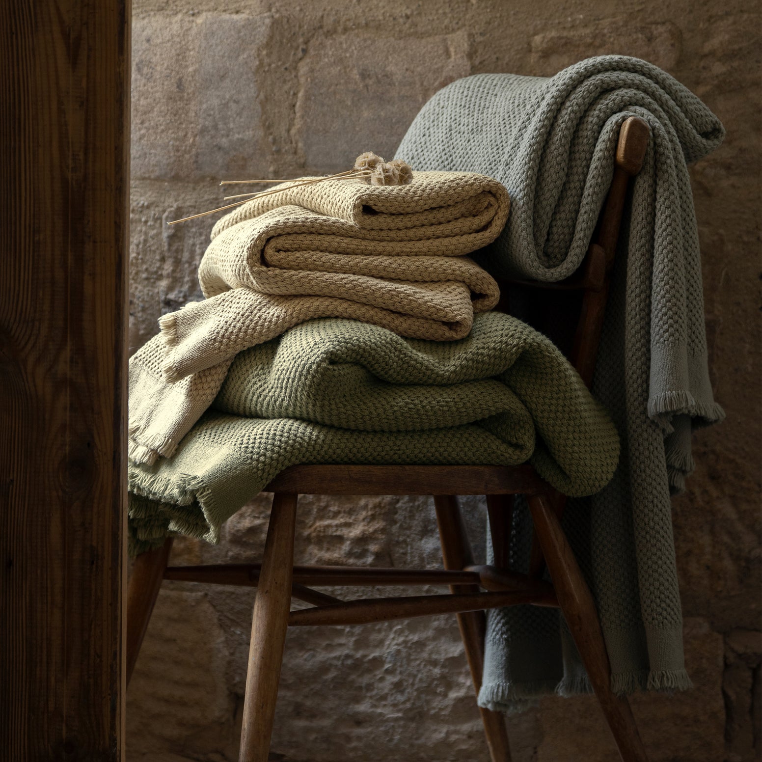 Forest-product_image