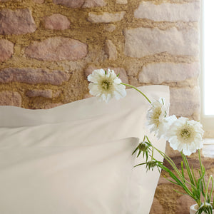 Ivory-product_image