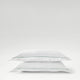 Green-product_image