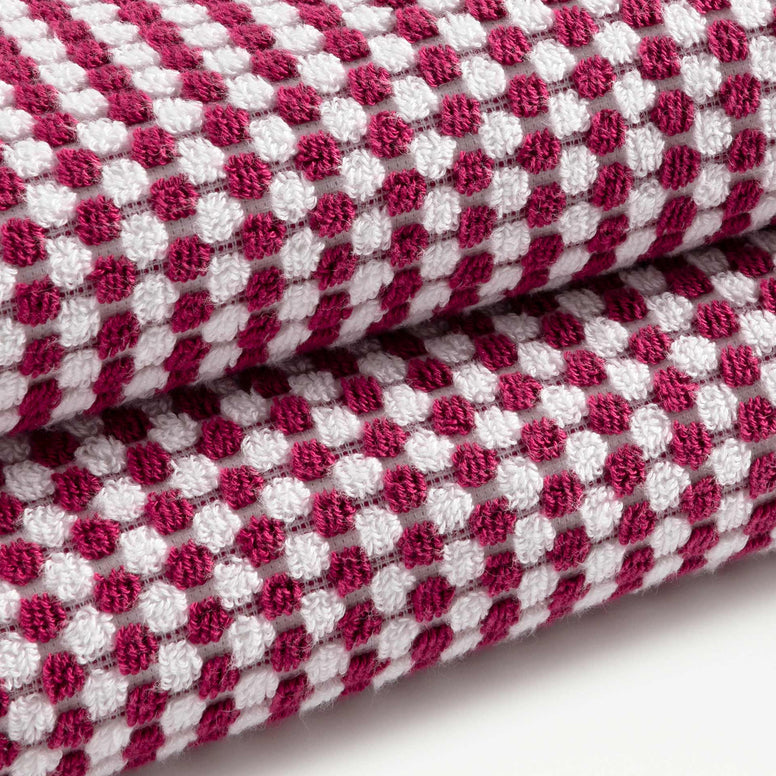 Raspberry-product_image