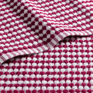 Raspberry-product_image