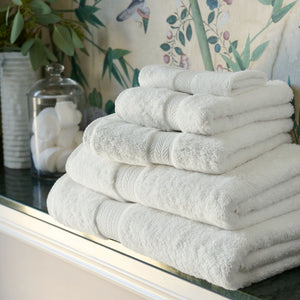 Parchment-product_image