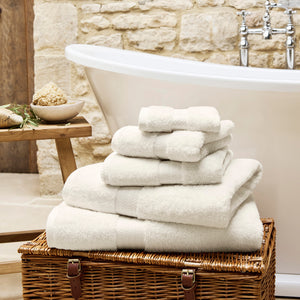 Parchment-product_image