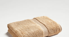 Seedpod-product_image
