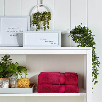 Raspberry-product_image