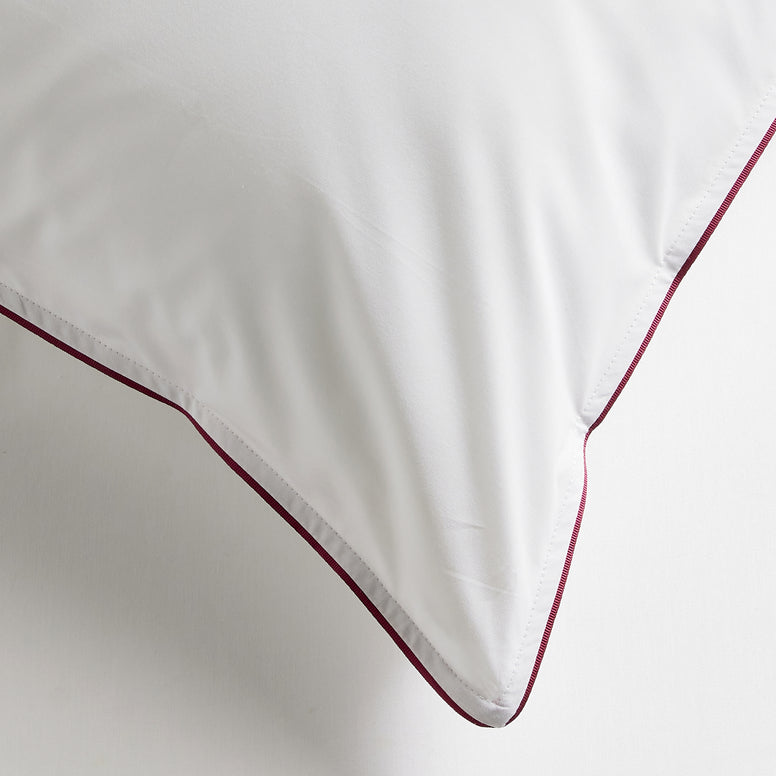 Fuchsia-product_image