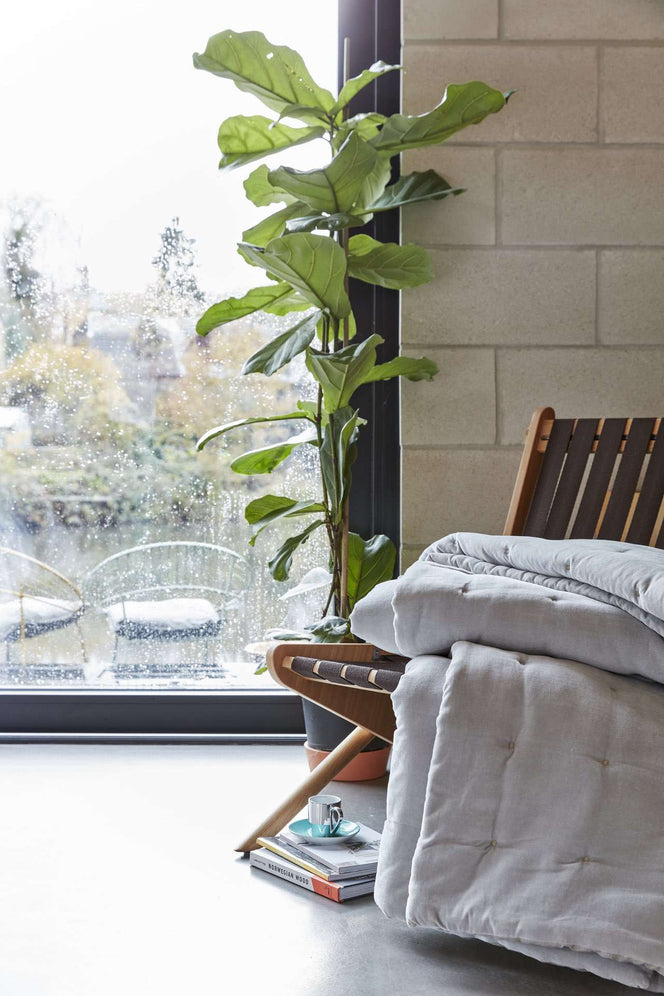 Jaipur Throw Christy